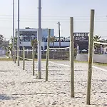 Ocean Palms