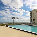Sand Dollar 2-405