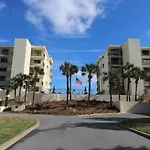 Sand Dollar 1-207