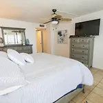 Sand Dollar 1-306