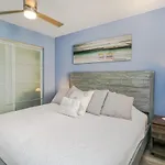 Sand Dollar 1-506