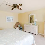 Sand Dollar 1-504