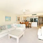 Sand Dollar 1-504