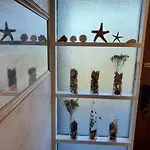 Island House D222