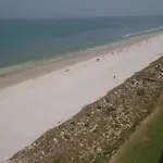 Sand Dollar 404