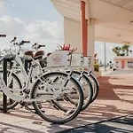 The Local - St. Augustine