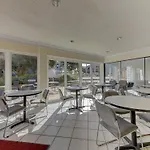 Hibiscus 303 D
