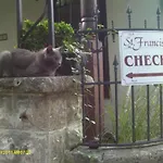 St. Francis Inn - Saint Augustine