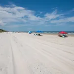 Sand Dollar 306