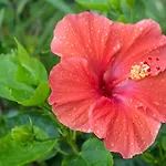 Unwind At St Augustine\'S Beachfront Oasis