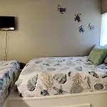 Colony Reef 3102