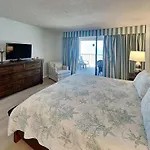 Sand Dollar 402