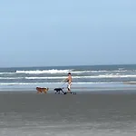 Dog-Friendly 4Br Coastal Getaway Close To Beach