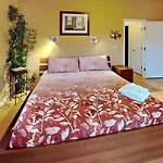 9904Serenitynowvbwh - Serenity Now