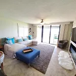 Sand Dollar 101