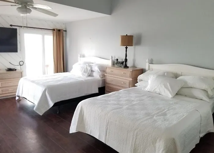 Pet Friendly Beachside Condo