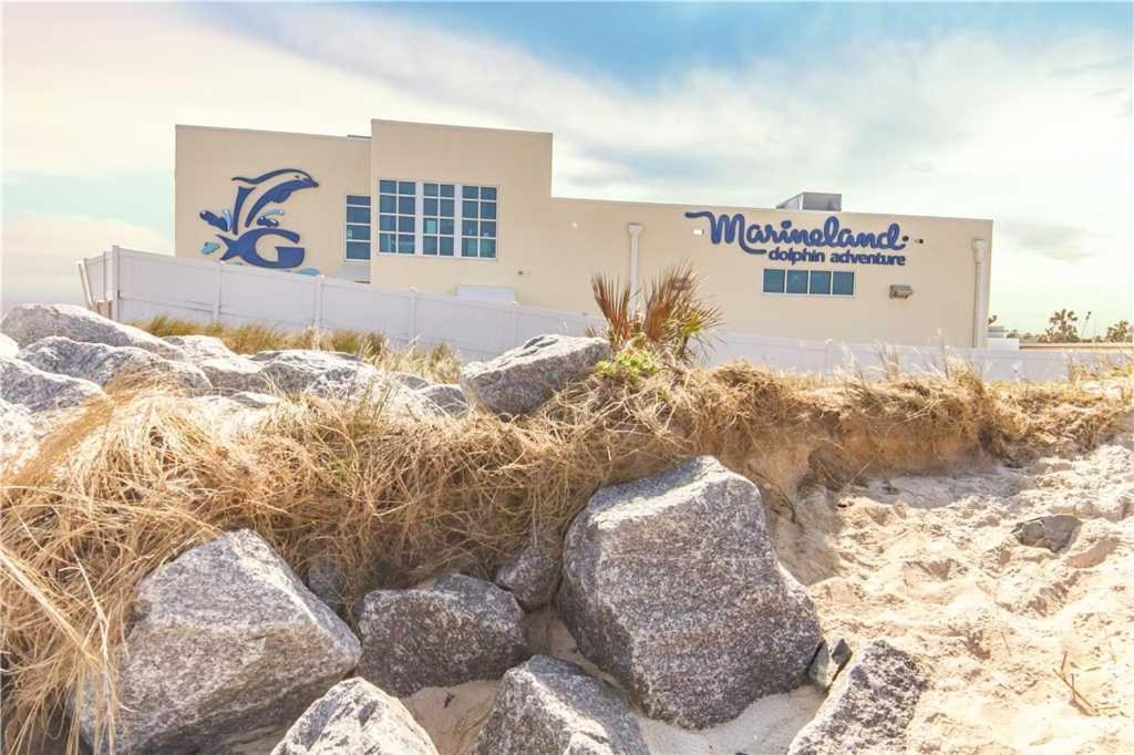 Summertime Sanctuary, Private Pool, 3 Bedrooms, Sleeps 8 * St. Augustine