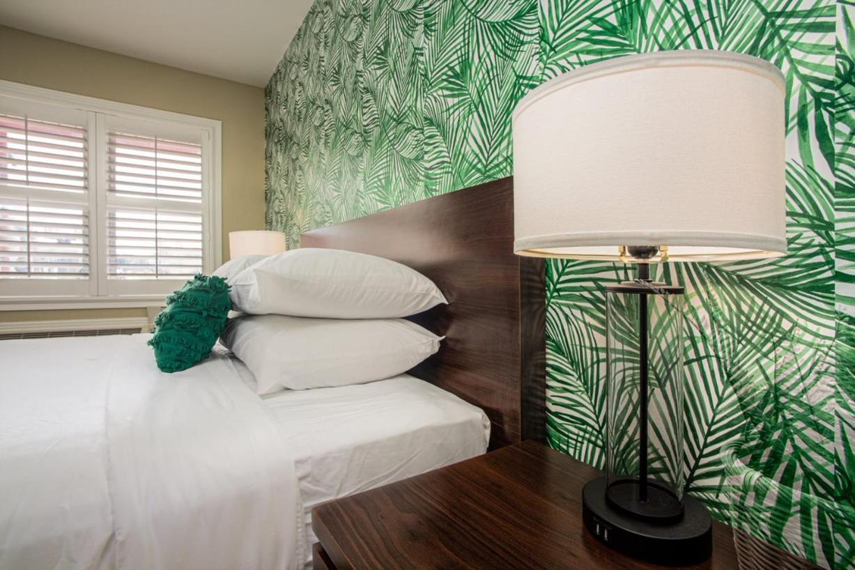 The Local - Motel St. Augustine