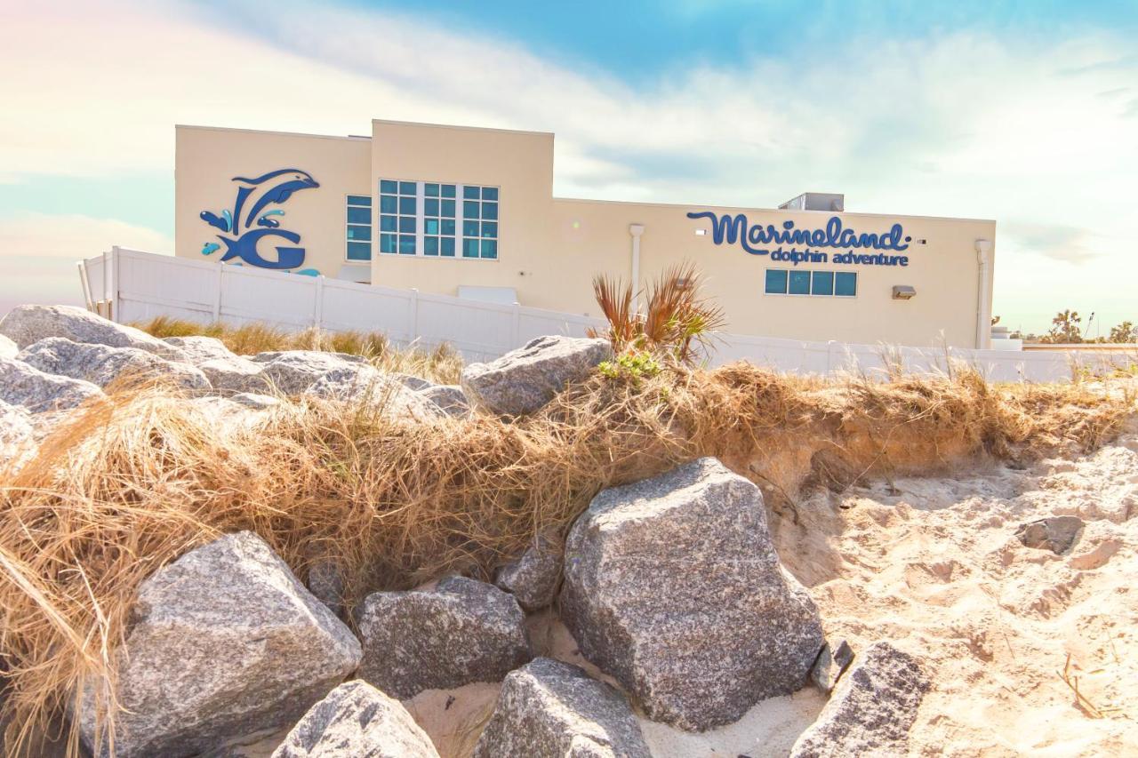 Pelican Inlet C 216, 2 Bedrooms, Sleeps 6, Pool, Tennis, Boat Dock * St. Augustine
