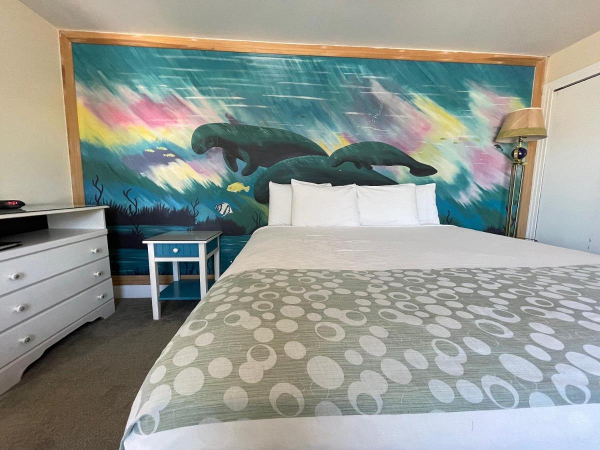 Motel Magic - Vilano Beach,