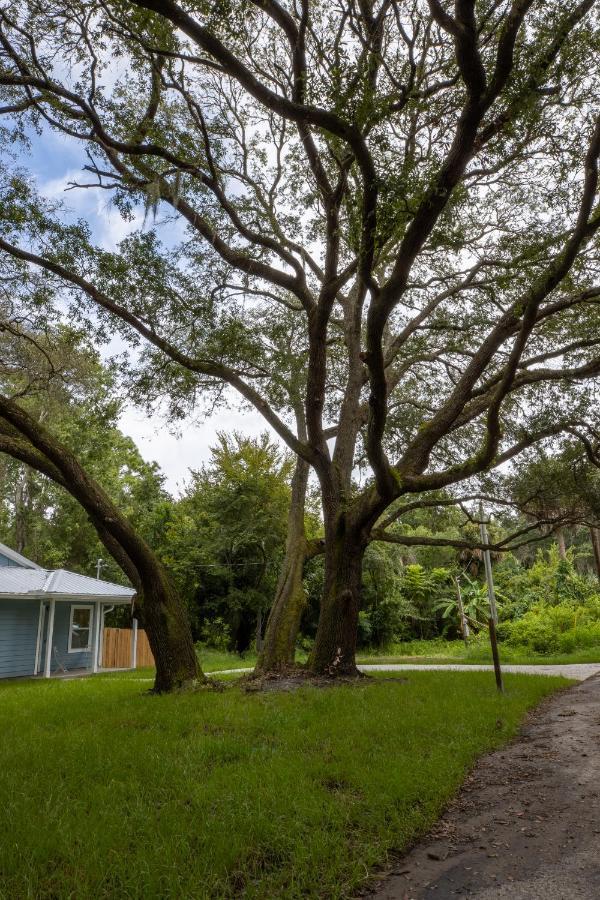 Recharge Getaway To Historic Downtown & New Build St. Augustine