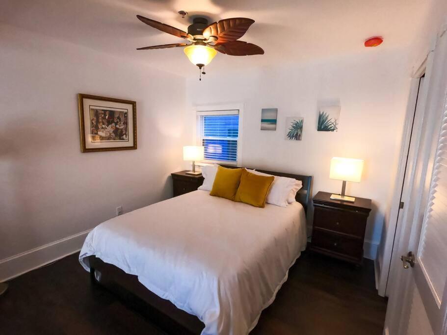 Angelica, Dog Friendly Studio, Free Bicycle