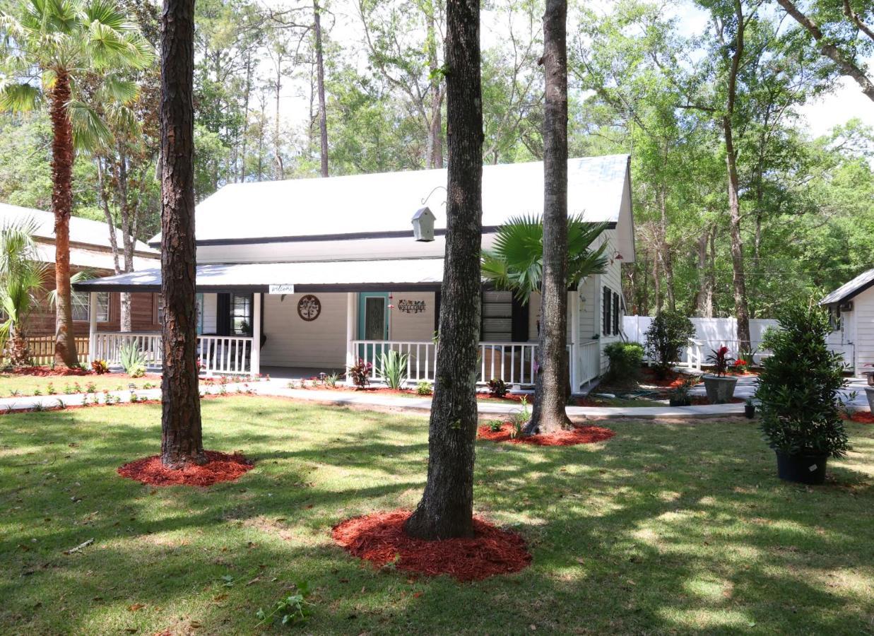 In The Woods At Emerald Lakes Estate * Saint Augustine