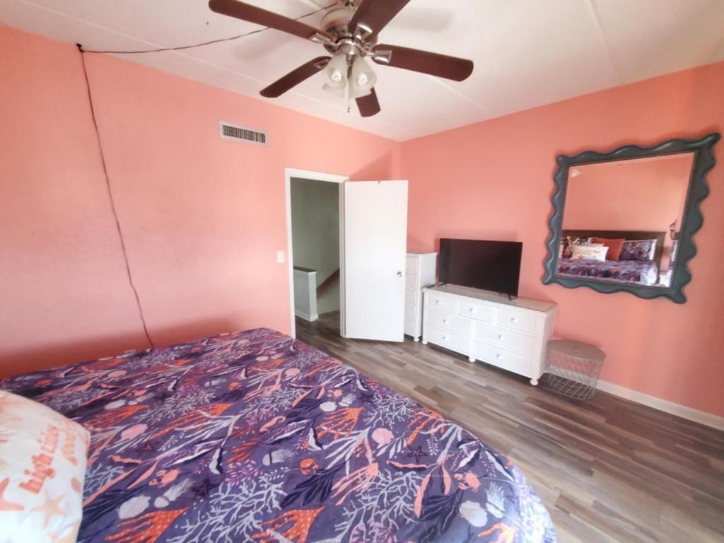 Island Housse F229 St. Augustine