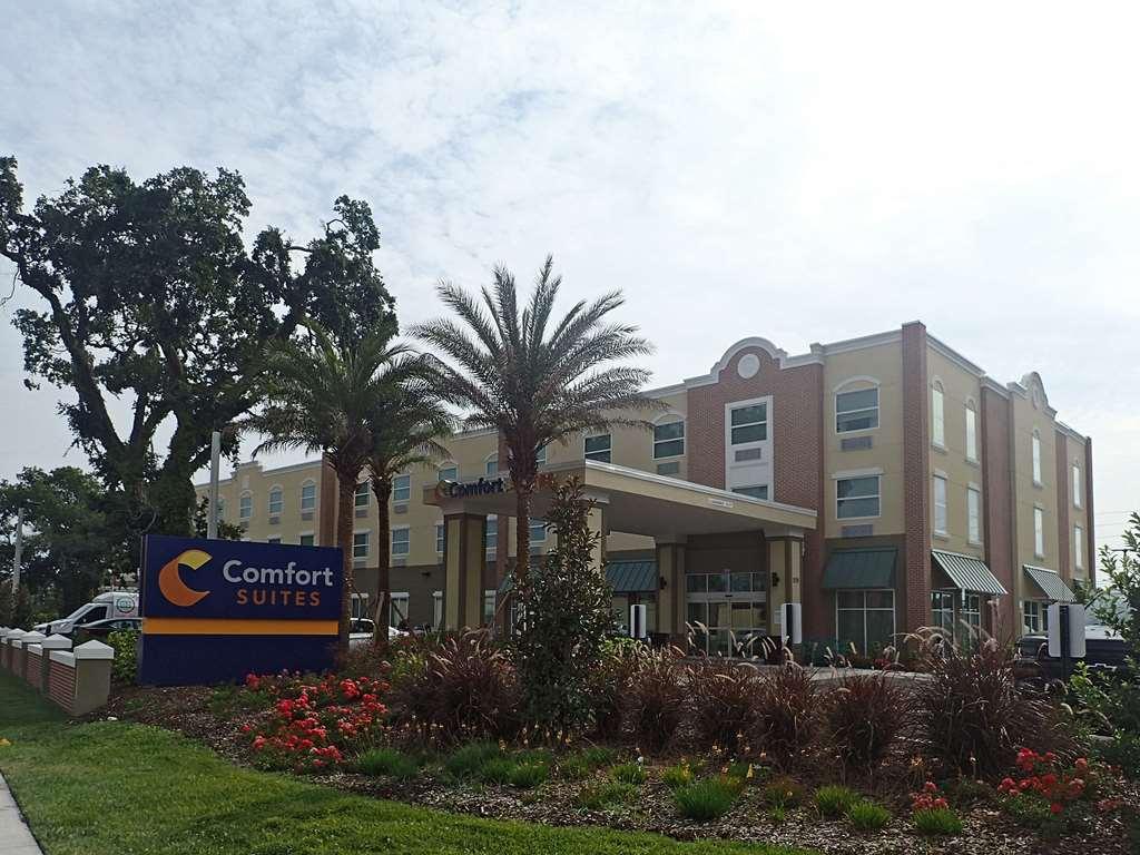 Comfort Historic District Area St. Augustine