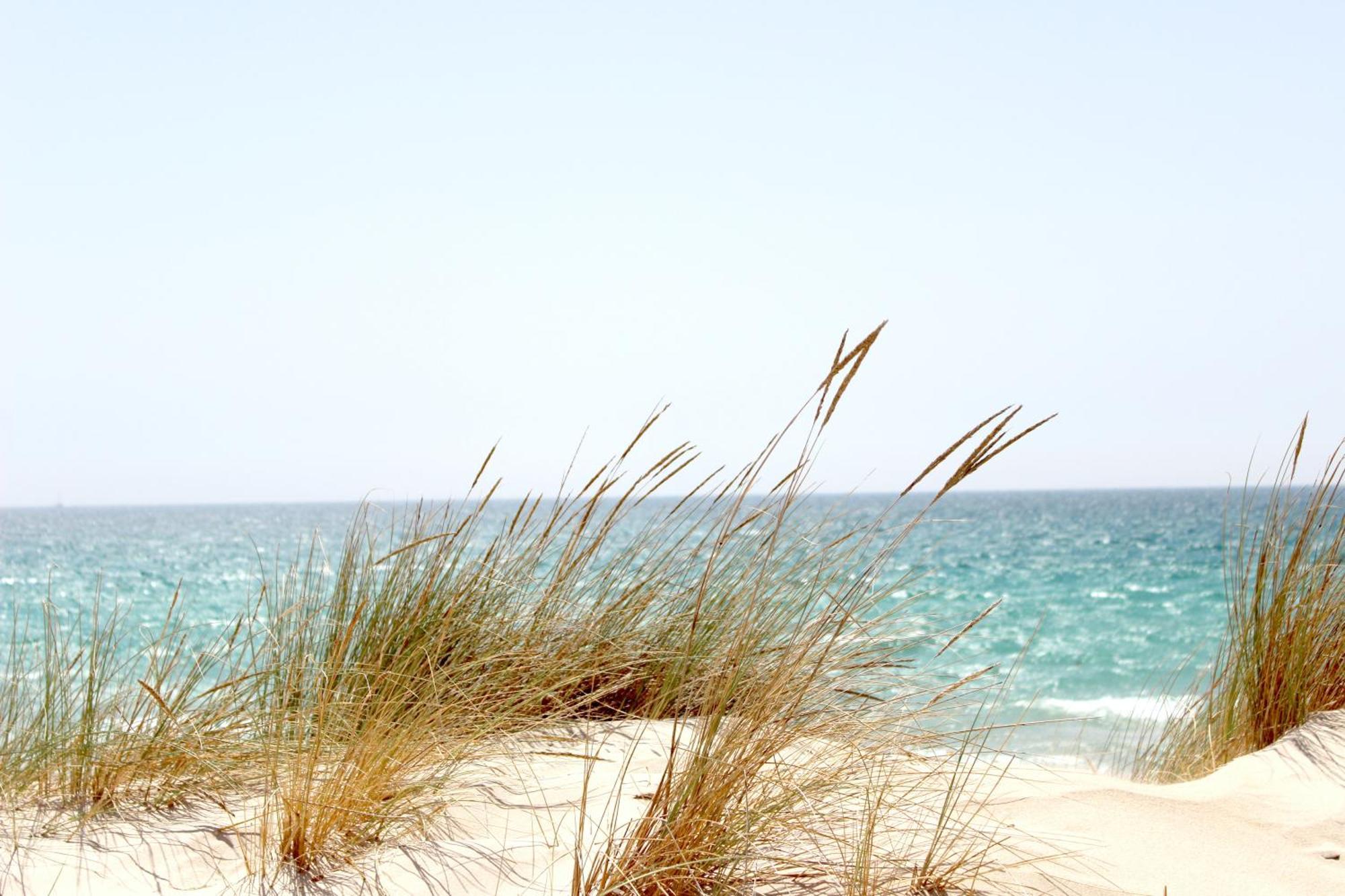 Ocean Sands (adults Only) Hotel Saint Augustine