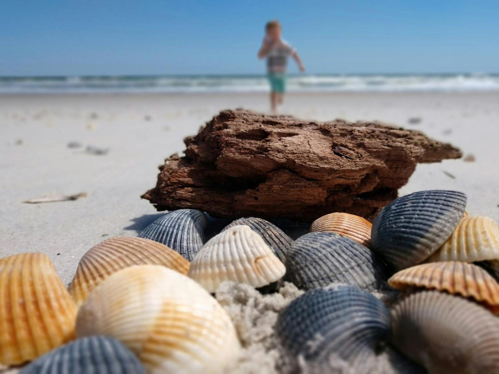 Ocean Sands (adults Only) 4* Saint Augustine