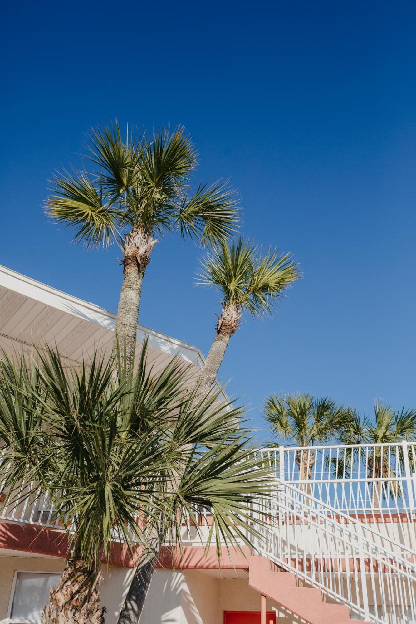 The Local - Motel St. Augustine