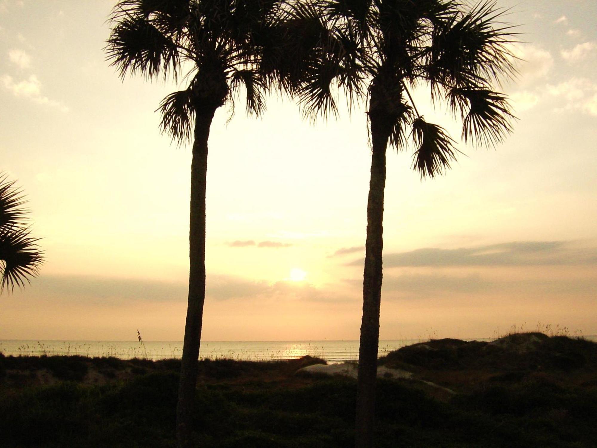 Windjammer 316