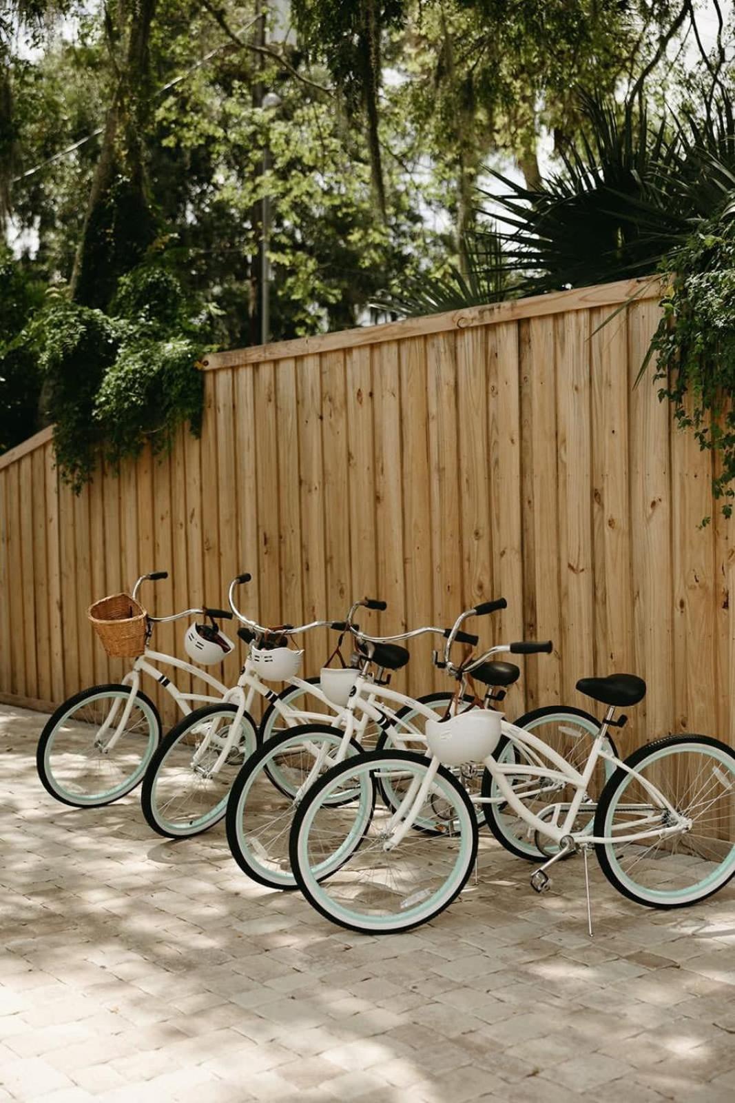 Remodeled Historic 1800s Carriage House, The Castle Garden, Colonial Modern Mansion Holiday home St. Augustine