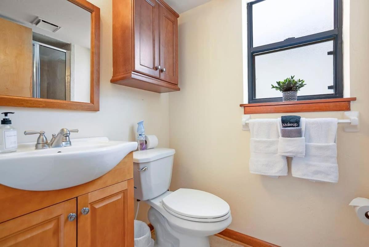 Oceanfront In The Heart Of St Aug Bch Dogs Ok Holiday home *