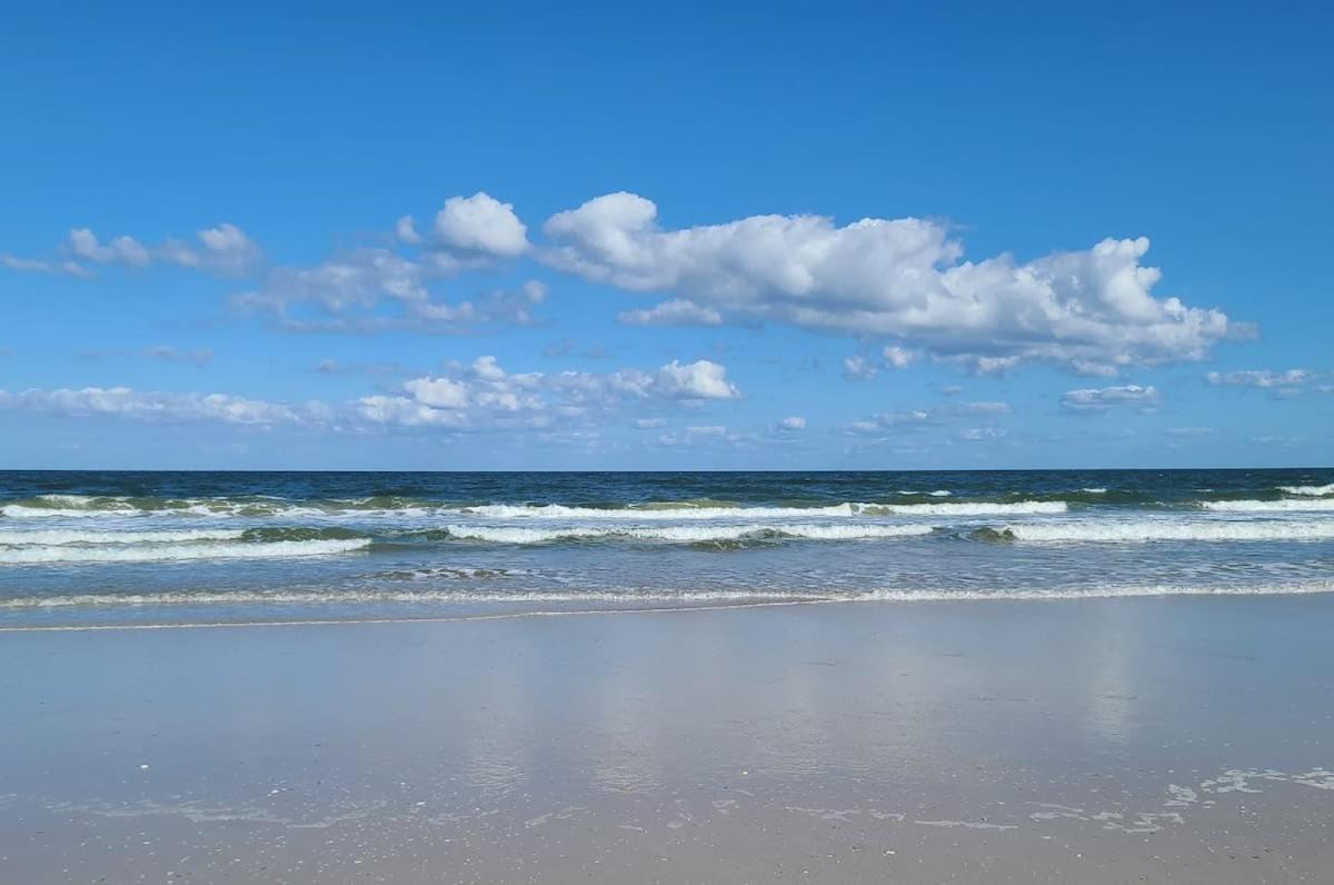 Treetop Terrace 250 Steps To Heated Swim Holiday home St. Augustine