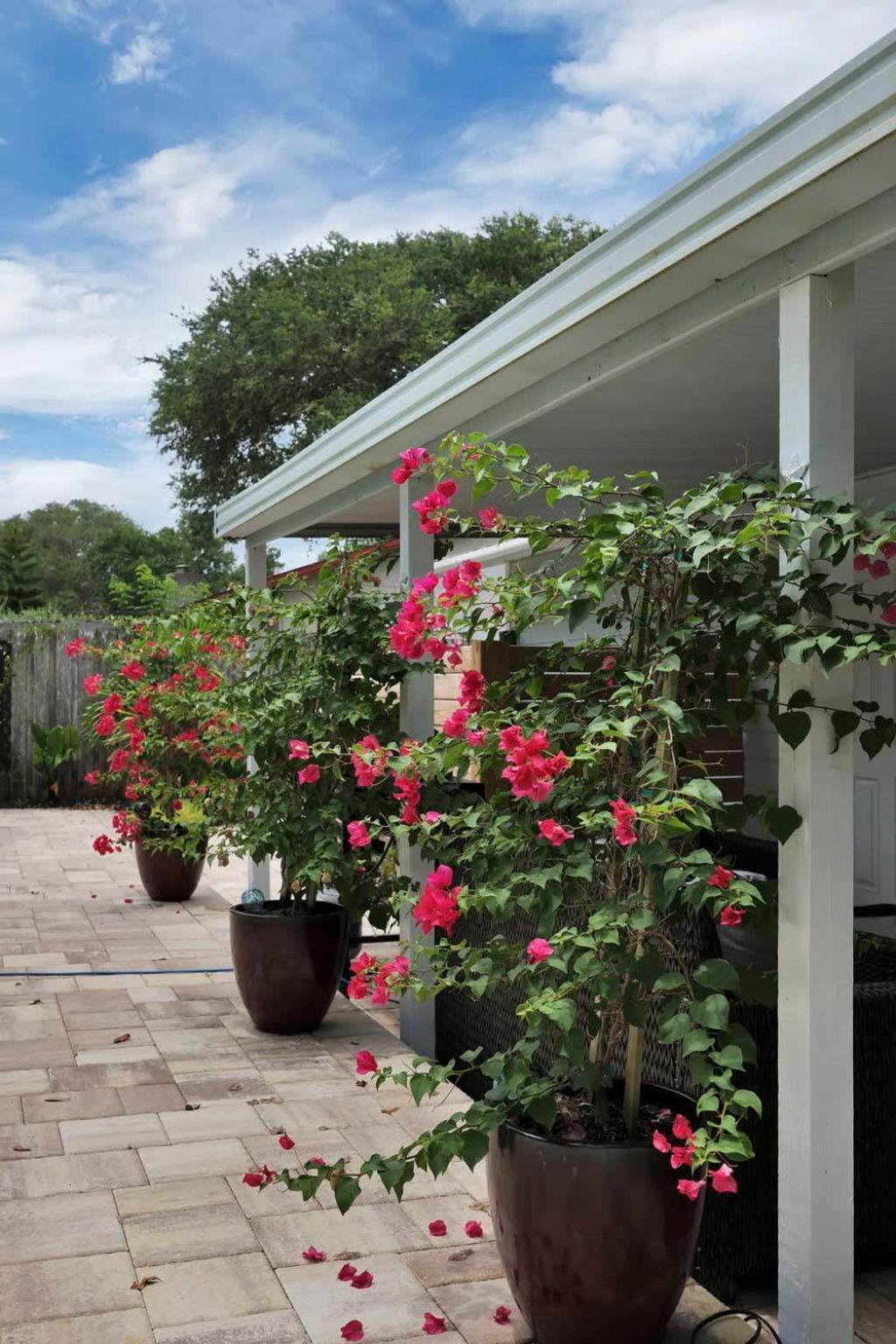 Cove's End Heated Pool Tropical Oasis Bbq Sleeps 9