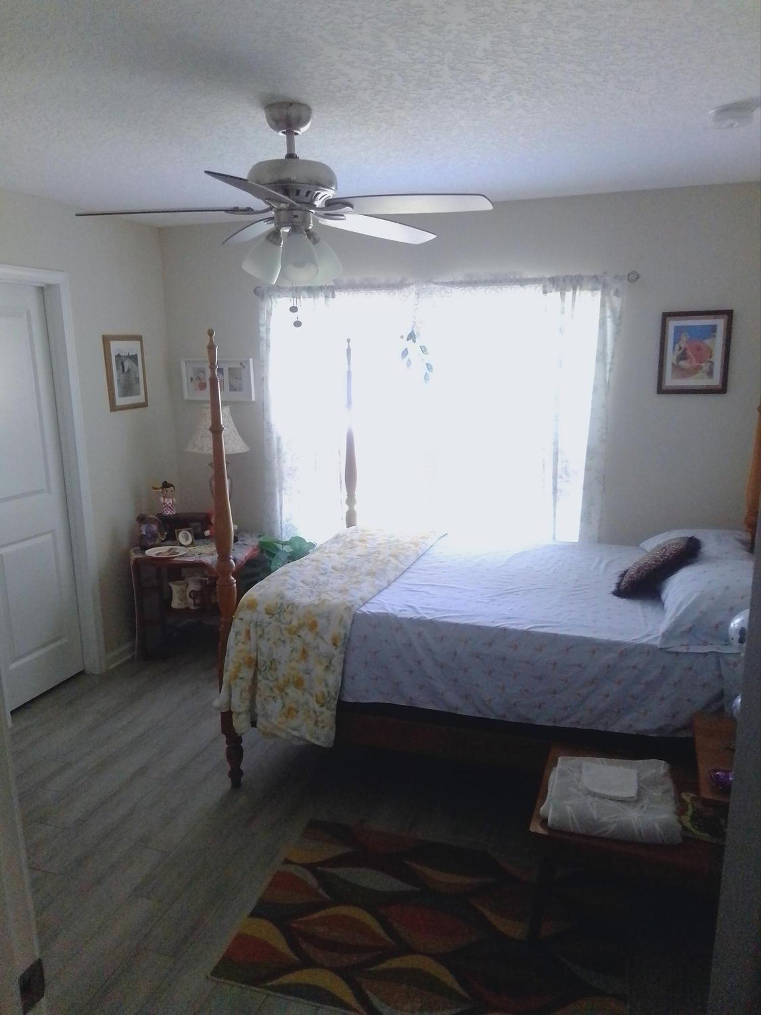 Dana Estate's Saint Augustine