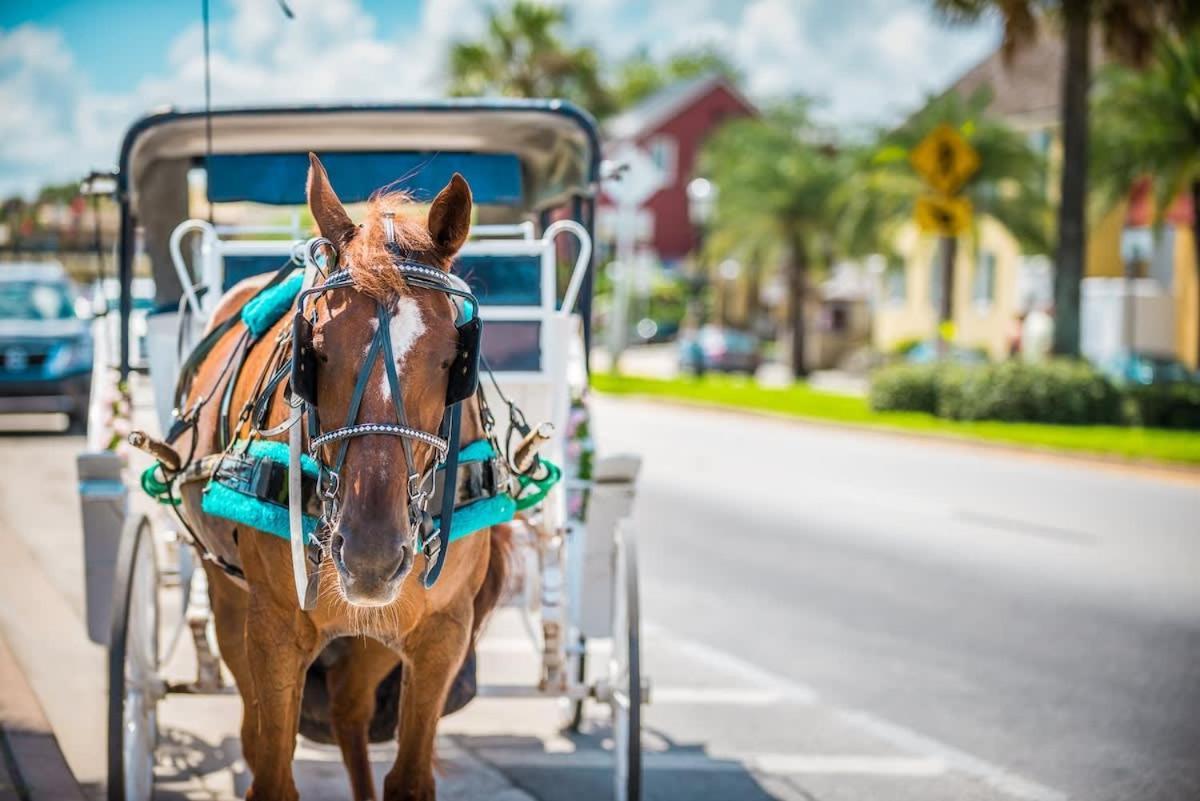 Holiday home Island - Walk To Downtown! St. Augustine