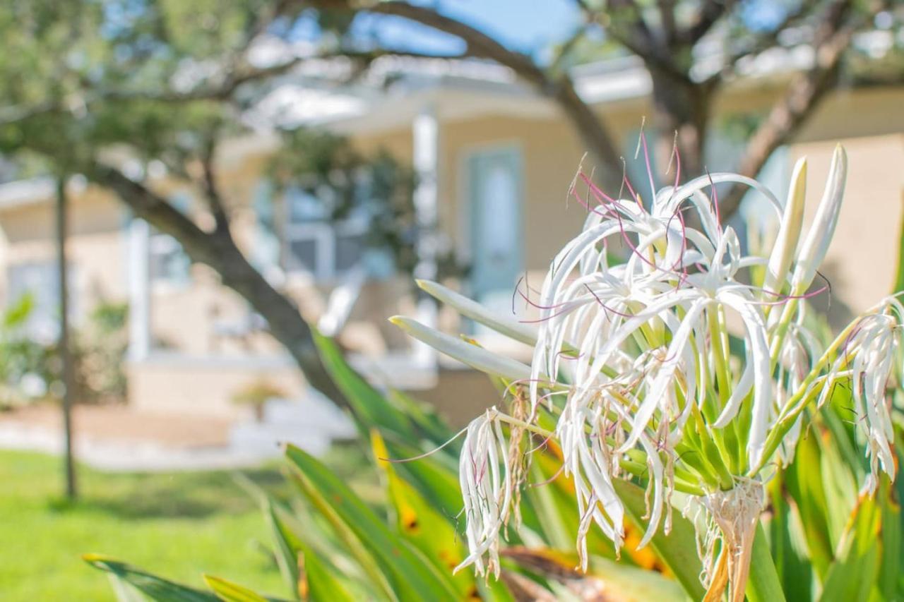 La Luna Vista -- Pool And History Holiday home St. Augustine