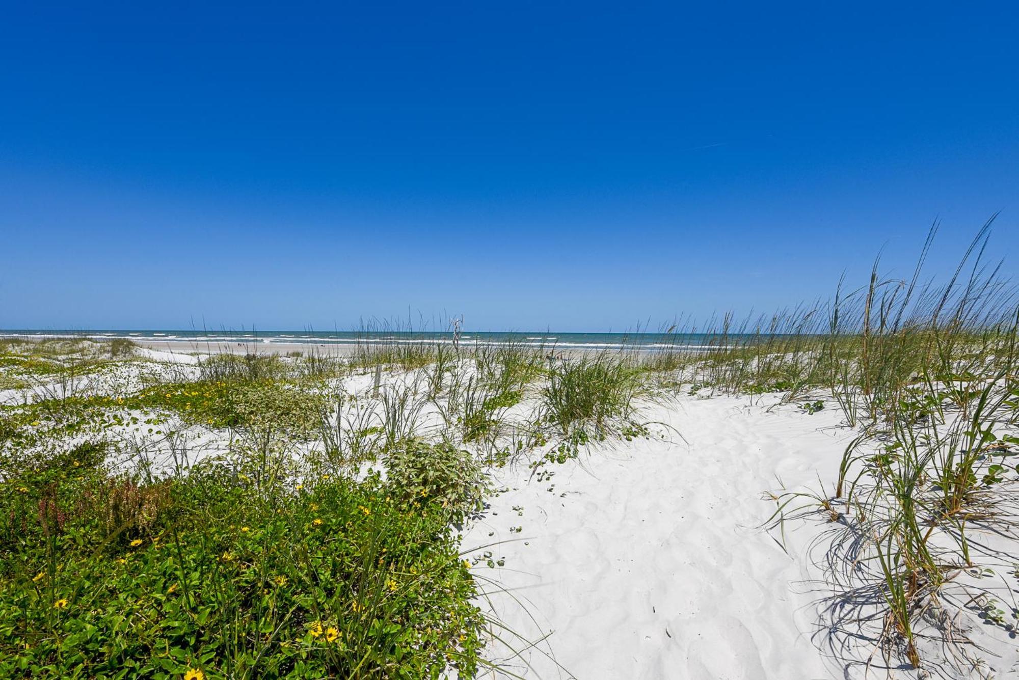 Hibiscus 303 D Apartment St. Augustine