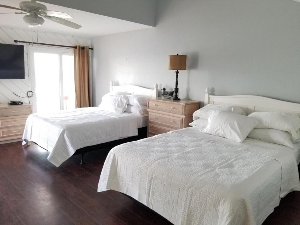 Pet Friendly Beachside St. Augustine