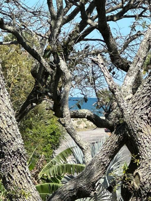 The Inlet At Summer Haven
