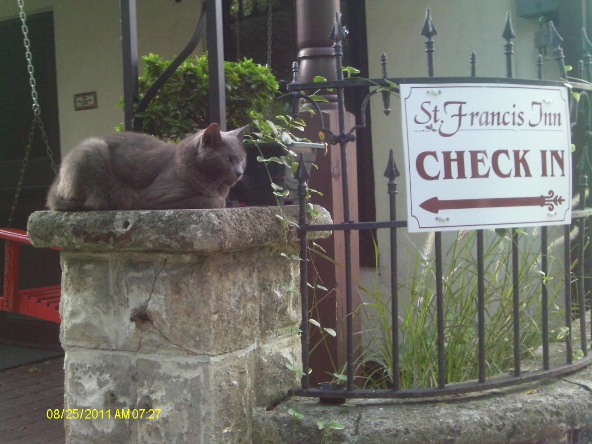 St. Francis - 3*