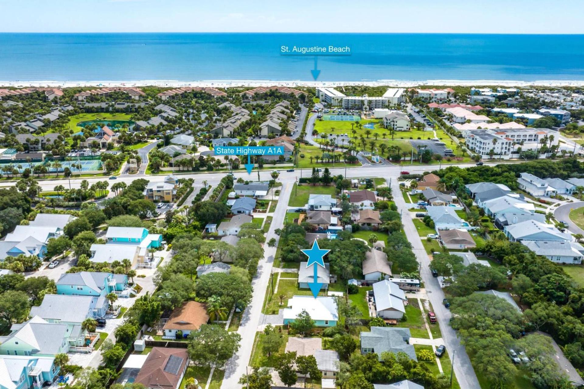 Aqua Palms *
