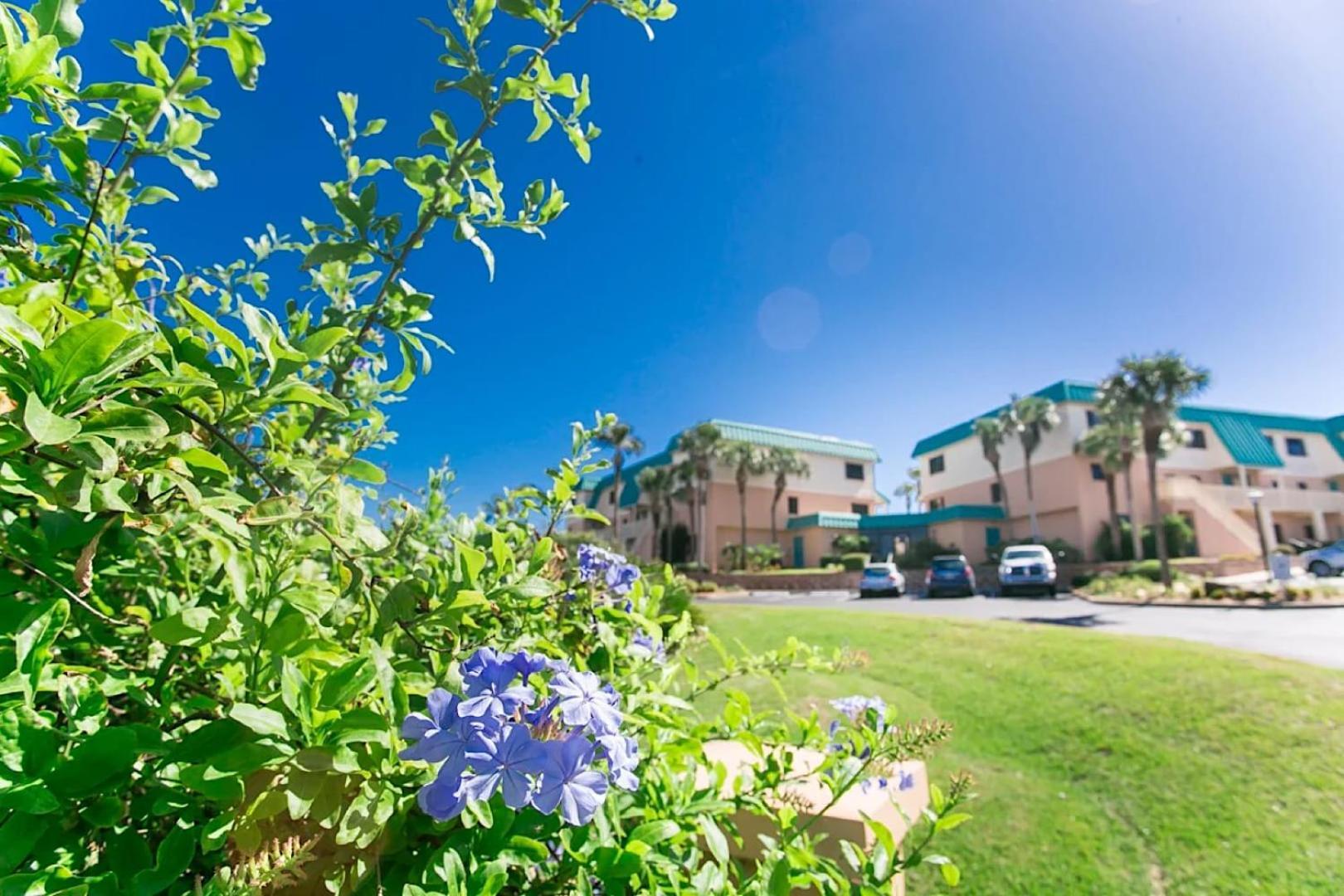 Coastal Bliss Sea Proximity & Free Tickets Holiday home St. Augustine