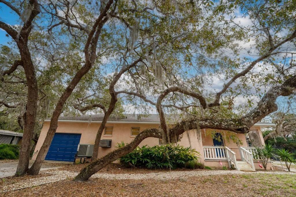 Surfside House Walk2beach Pet Friendly Family Holiday home