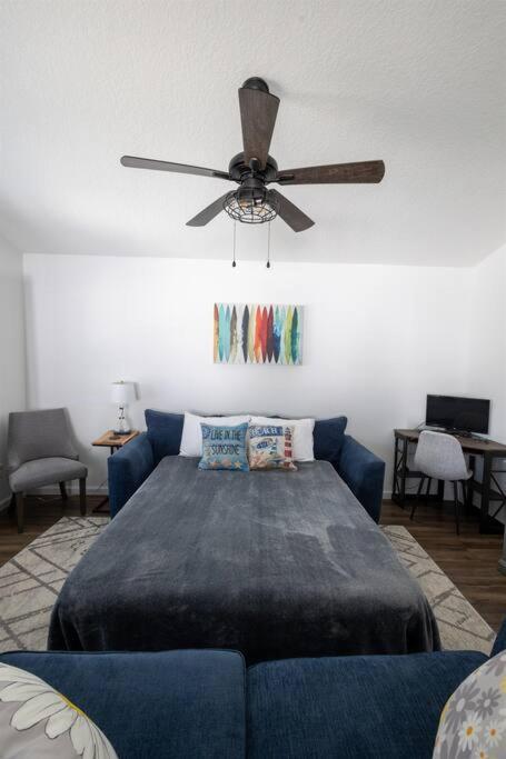 Modern Dog Friendly * St. Augustine