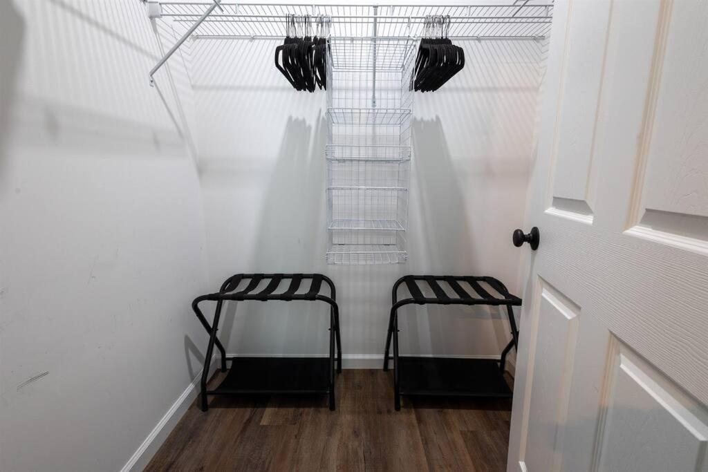 Modern Dog Friendly * St. Augustine