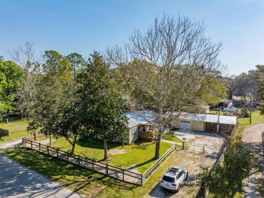 Country Comfort Firepit, Games, Bbq Dog Breeds * St. Augustine